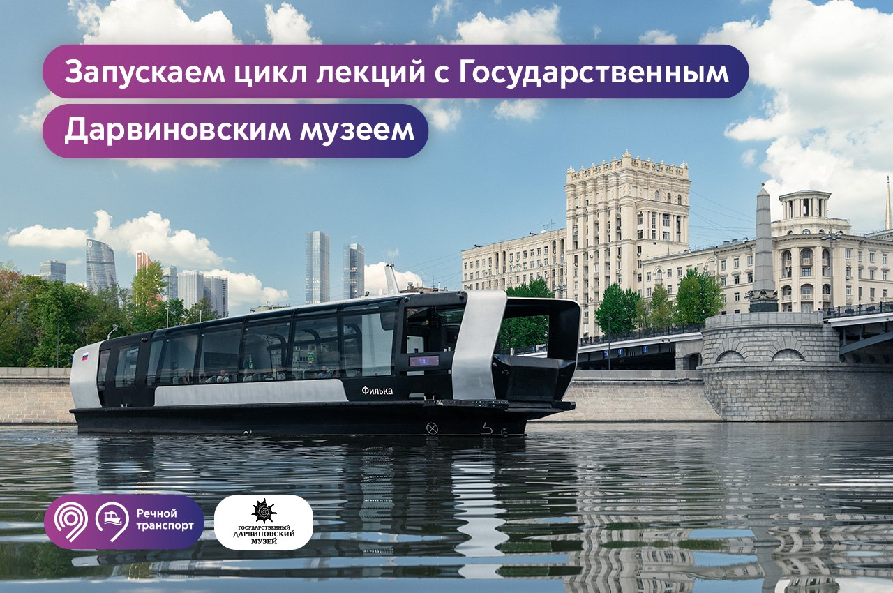 Какие закономерности и открытия мы позаимствовали у природы?